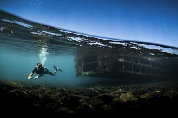 Лучшие места для дайвинга в мире – погружение в удивительный подводный мир