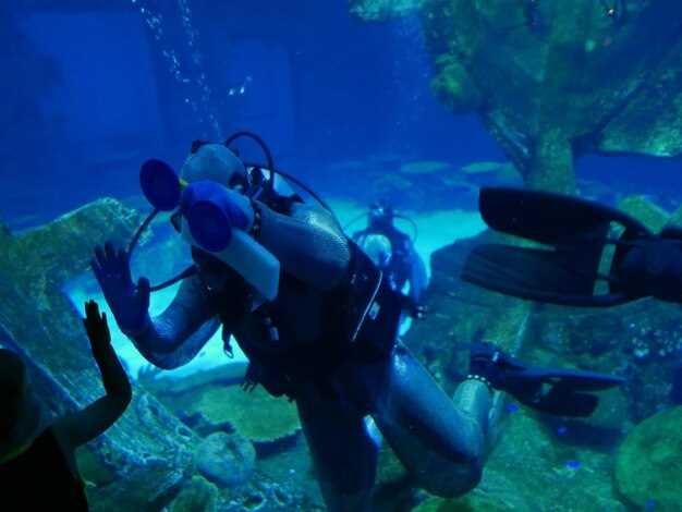 Подводный туризм – особенности и преимущества отдыха на клубных дайвинг-турах